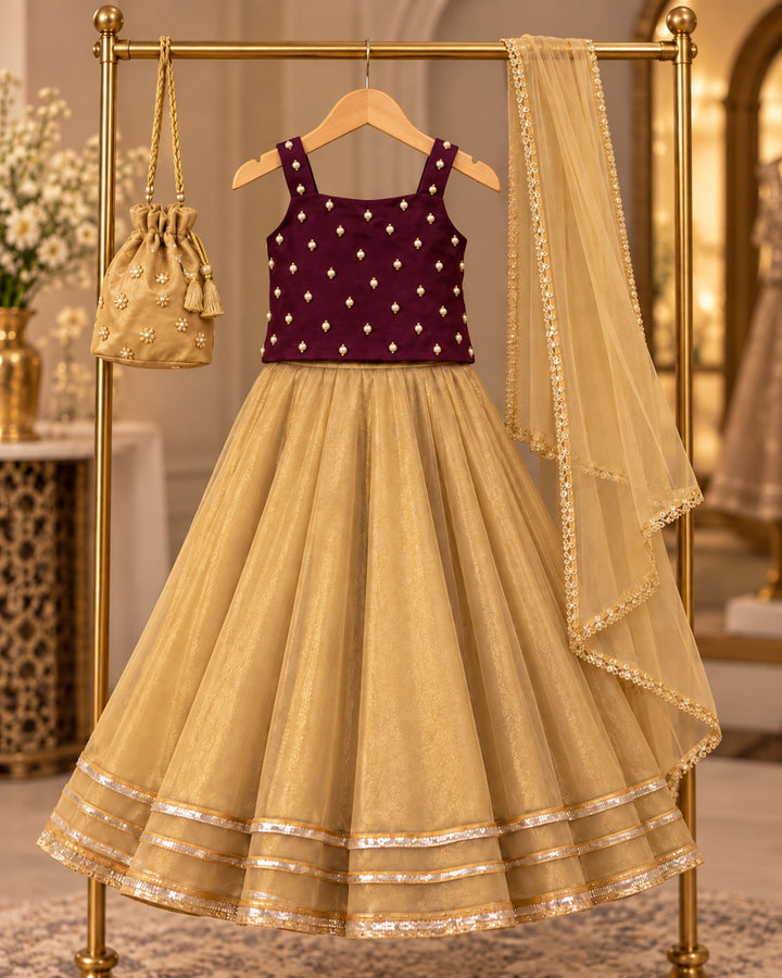 Wine Pearl – 3 Piece Velvet Choli &amp; Tissue Lehenga with Potli (RK0108) view 1 view 1